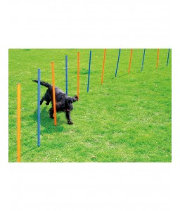 Pawpals Dog Training Poles...