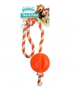 Pawise Play&Chew Dog Toy...