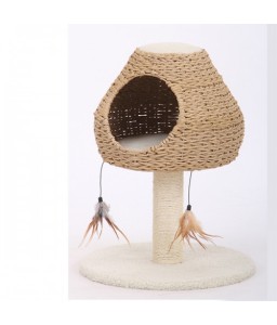 Catry Cat House With...