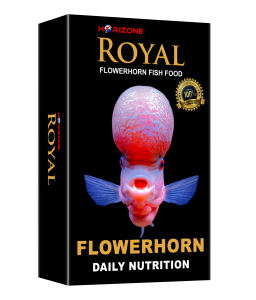 Horizone Royal Flowerhorn...