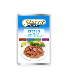 Stuzzy Cat Kitten With...
