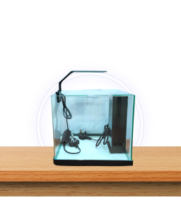 Karis Mini Aquarium Kit,...