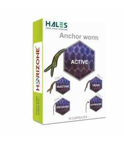 Horizone Hales Anchorworm...