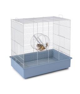 IMAC SCOIATTOLI-Squirrel cage