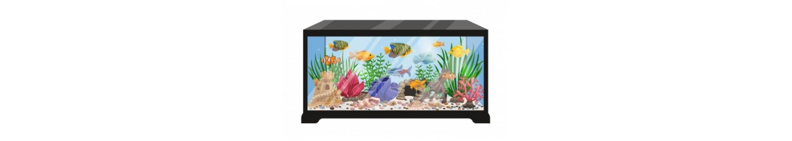 Marine Aquarium |Best Quality Aquarium Supplies in UAE | Aquariumlives