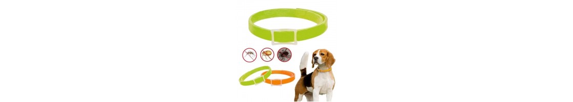 Buy Best Quality Flea & Tick Collar products in UAE | Petcare.
