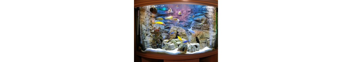 Buy Best Quality 3D Backgrounds Supplies in UAE | Aquariumlives.