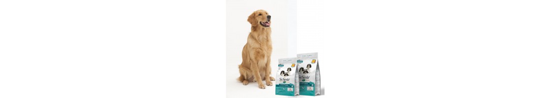 Buy Best Quality Dog Foods & Treats products in UAE | Petcare.