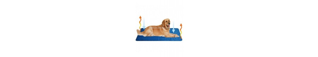 Buy Best Quality Cooling Materials products in UAE | Petcare.
