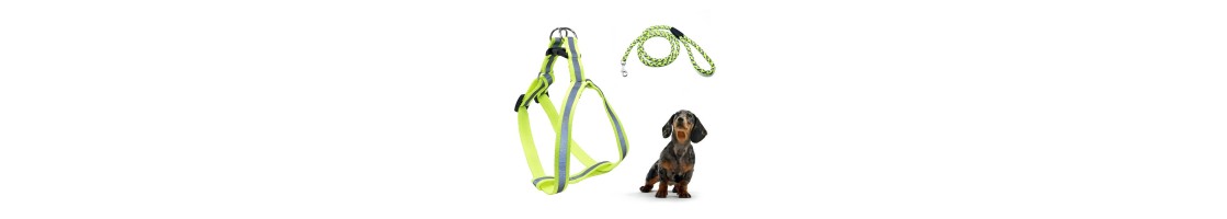 Buy Best Quality Dog Leashes & Harness products in UAE | Petcare.