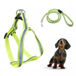 DOG LEASHES & HARNESS
