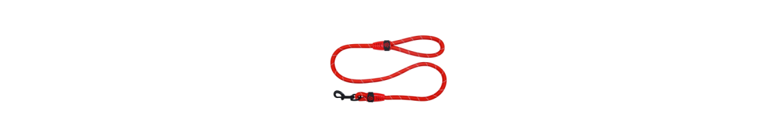 Buy Best Quality Dog Leads & Leashes products in UAE | Petcare.
