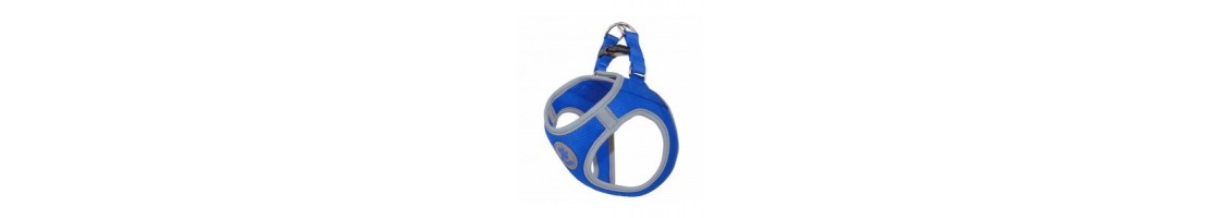 Buy Best Quality Dog Harness products in UAE | Petcare.