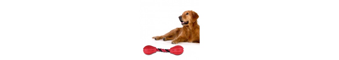 Dog Toys & Agility products in UAE | Dog Accessories in UAE | Aquariumlives
