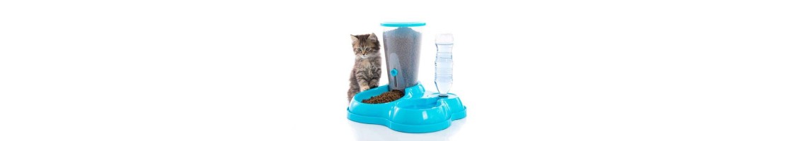 Buy Best Quality Cat Feeders & Bottles Products in UAE | Petcare.