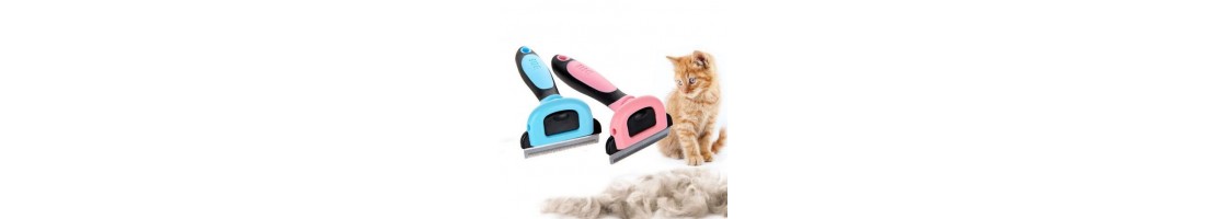 Buy Best Quality Cat Grooming & Cosmetics Products in UAE | Petcare.