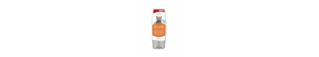 Buy Best Quality Cat Shampoo Products in UAE | Petcare.