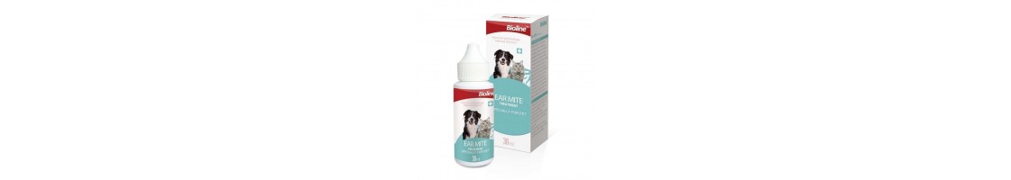 Buy Best Quality Cat Health Care & Hygiene Products in UAE | Petcare.