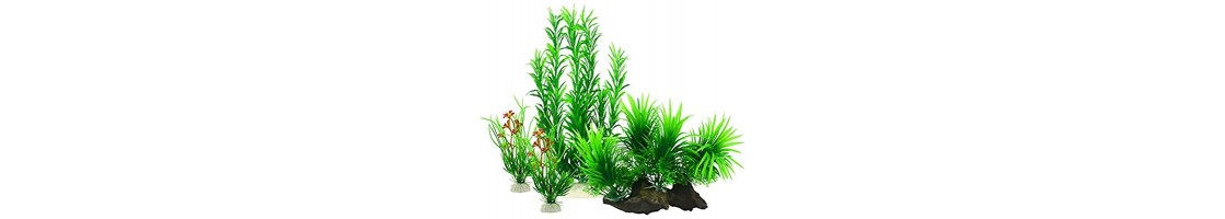 Buy Best Quality Artificial Plants Supplies in UAE | Aquariumlives.