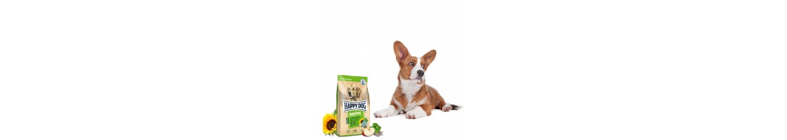 Buy Best Quality Dog Dry Foods products in UAE | Petcare.