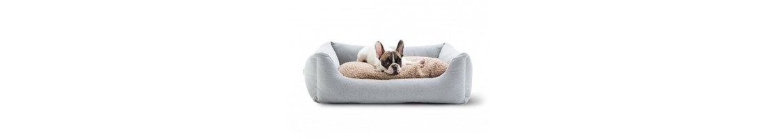 Buy Best Quality  Dog Beds & Houses products in UAE | Petcare.