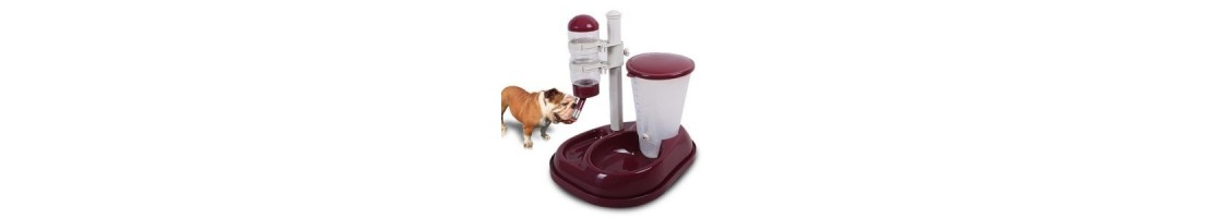 Buy Best Quality Dog Feeders & Bottles products in UAE | Petcare.