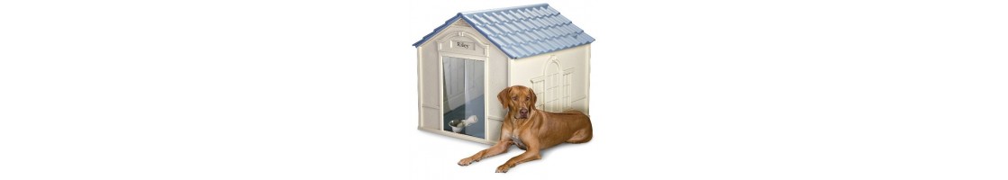 Buy Best Quality Dog House products in UAE | Petcare.