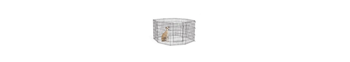 Buy Best Quality Exercise Pen products in UAE | Petcare.