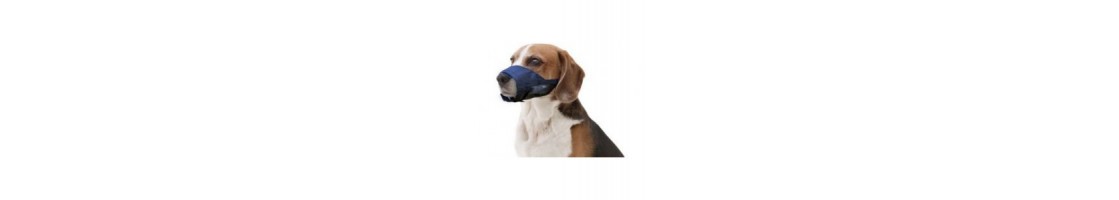Buy Best Quality Muzzles products in UAE | Petcare.