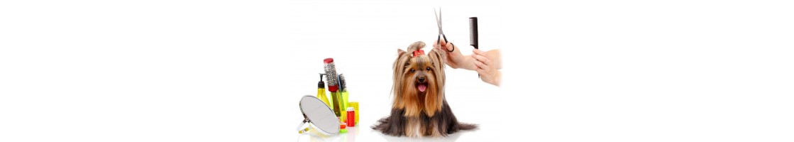 Buy Best Quality Dog Grooming & Cosmetics products in UAE | Petcare.