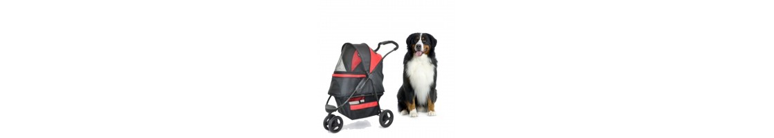 Buy Best Quality Dog Apparels & Travel products in UAE | Petcare.