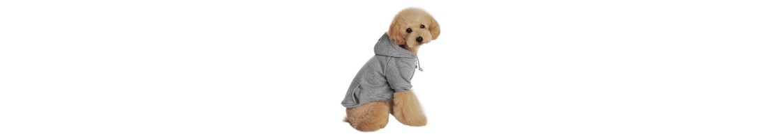 Buy Best Quality Clothings products in UAE | Petcare.