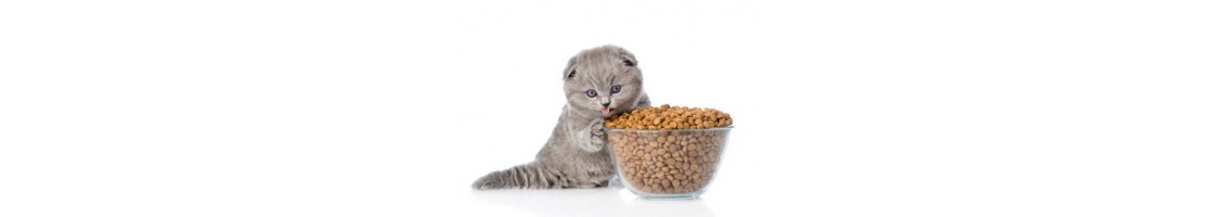 Buy Best Quality Cat Dry Food Products in UAE | Petcare.