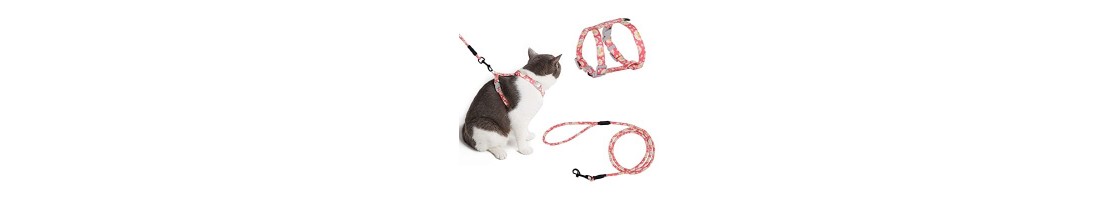 Buy Best Quality Cat Collars & Harness Products in UAE | Petcare.