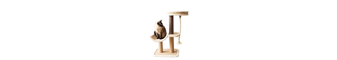 Buy Best Quality Scratch Post & Cat Tree Products in UAE | Petcare.