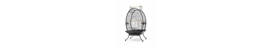 Buy Best Quality Bird Cages products in UAE | Petcare.