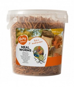 Duvo Meal Worms Bucket 200g