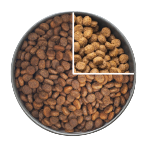 cat food bowl 75% - Old Food 25% - Prestige