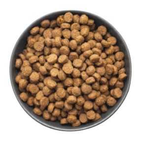 cat food bowl - 25% - Old Food 75% - Prestige