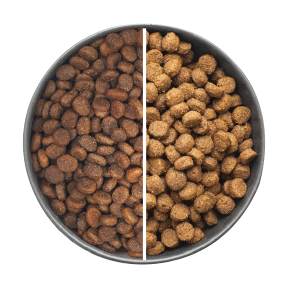 cat food bowl - 50% - Old Food 50% - Prestige