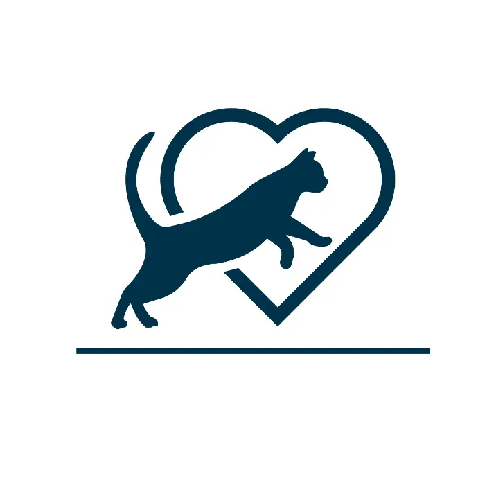 cat food activity icon support