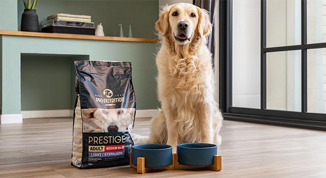 dog with pro nutrition pet food - image