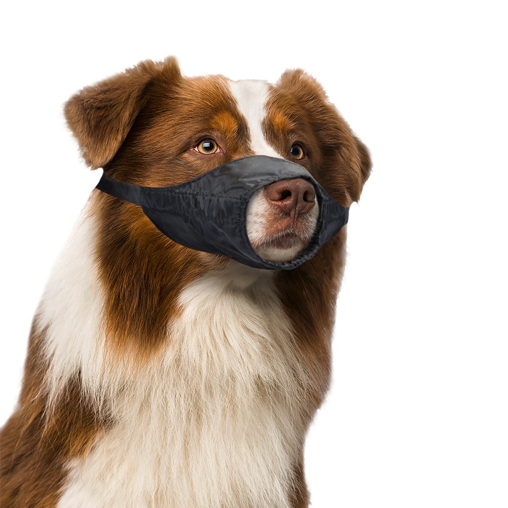 Duvo+ Dog Muzzle Nylon[Dimension - 53-77cm]