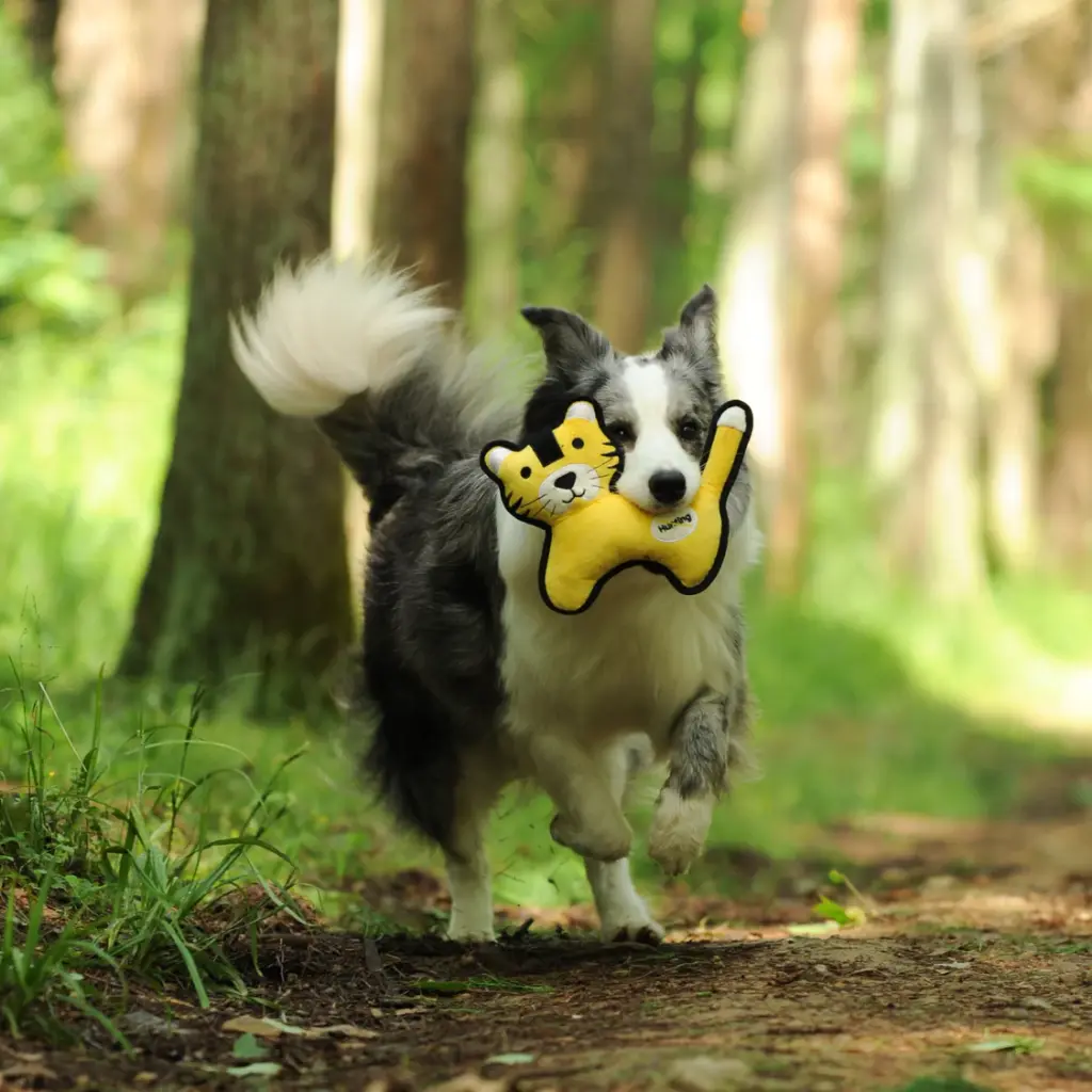 Pado Paws Squeaky Toy 22x4x27.5cm