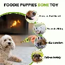 Pado Skittle Nylon and Wood TPR Dog Treat Toy 15.2x6.2x6.2 cm