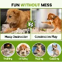 Pado Bow Tie Nylon and Wood TPR Dog Treat Toy 14x6x3.5 cm