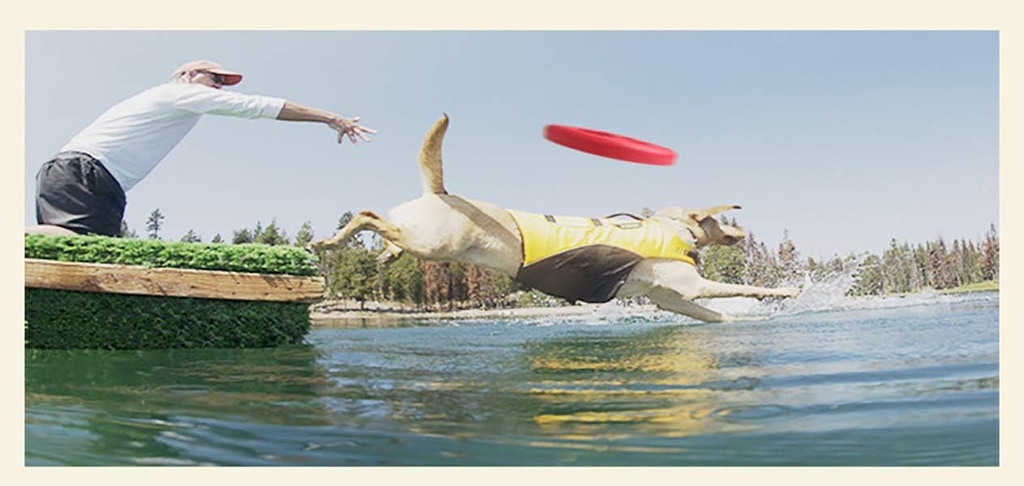 Pado Chomp Chum Frisbee EVA Toy-⌀20cm