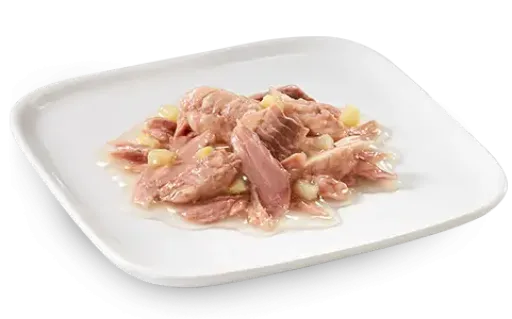 Schesir Dog Wet Food Can-Ocean Fish with Tuna- (Min Order 85g- 14pcs)[Weight - 85g]