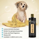 Groom Professional Exclusive Mandarin & Rose Shampoo 4L[Volume - 4 litre]