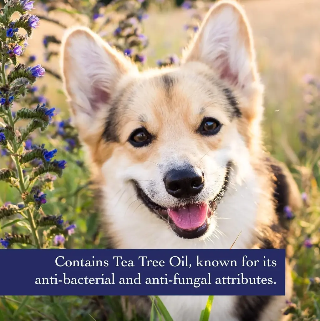 Synergy Lab Anti-bacterial Shampoo[Volume - 354ml]